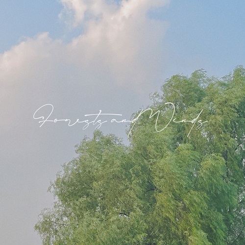 250401_반오밴드_숲과 바람_cover500.jpg
