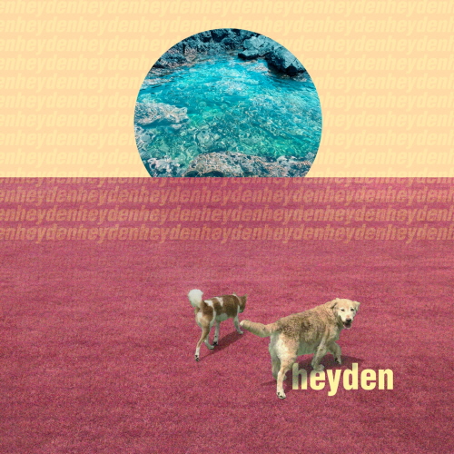 [크기변환]200803_heyden_let’s play tug_cover.jpeg