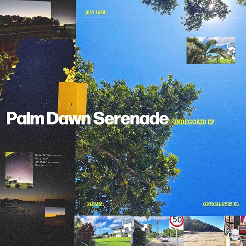 240716_INDEGOAID_Palm Dawn Serenade_cover500.jpg