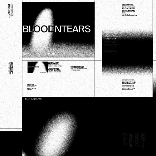 240524_INDIGOAID_BLOOD AND TEARS_cover500.jpg