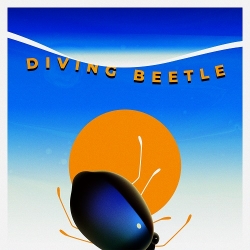 Warmcoke - Diving Beetle