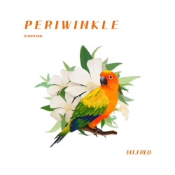 mt. fred (프레드) - Periwinkle