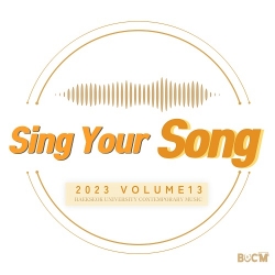 Sing Your Song - Sing Your Song Vol.13