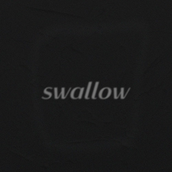 히키(Heeky) - swallow