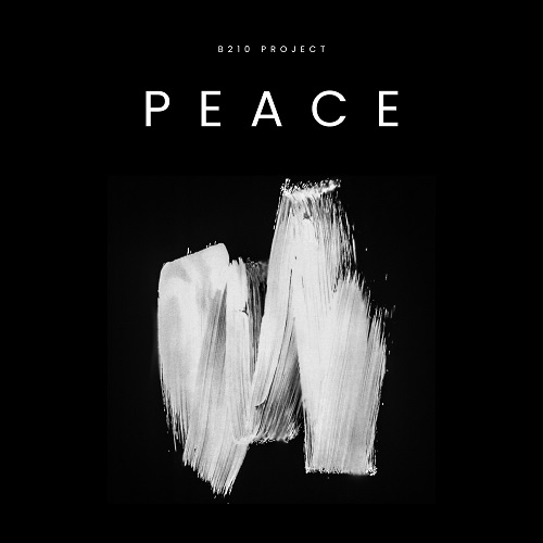 251118_B201 Project_Peace_cover.jpg
